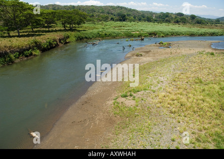 Coccodrilli visto dal ponte sul fiume Tarcoles, vicino a Puntarenas, Costa Rica Foto Stock