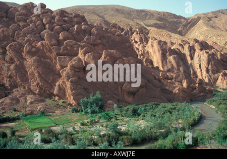 Du Dades gole nord di Boumaine du Dades Marocco Foto Stock