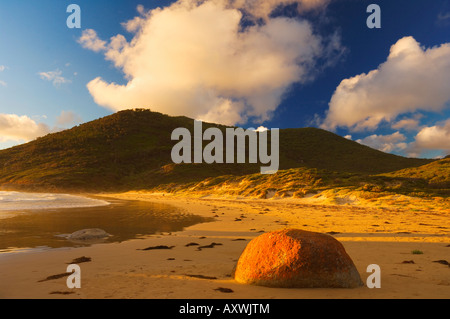 Whisky Bay, Wilsons Promontory National Park, Victoria, Australia Pacific Foto Stock