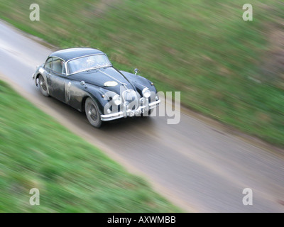 Colpo d'Occhio del Giaguaro Nero XK150 FHC in velocità International Rally Horneland Paesi Bassi Foto Stock