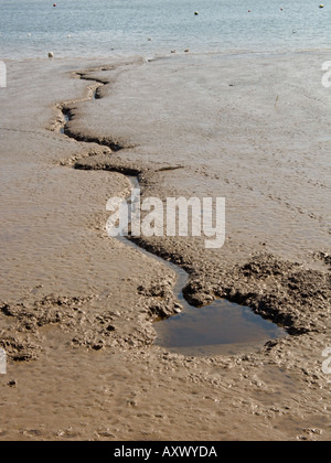 Tipica scena in acque basse, fango banche vicino alla banchina Woodbridge, Fiume Deben, Suffolk, Inghilterra Foto Stock