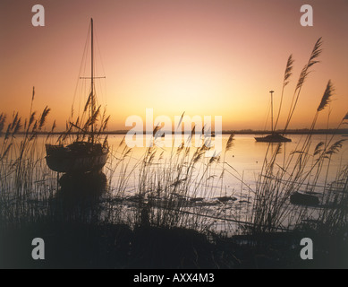 Tramonto a ramsholt, Suffolk, Inghilterra Foto Stock