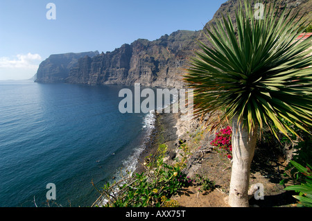 Los Acantilados de Los Gigantes, Tenerife, Isole Canarie, Spagna Foto Stock