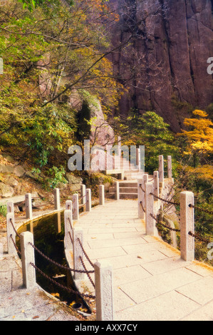 Il sentiero, Nuvola Bianca Scenic Area, Huang Shan (gialle di montagna), il Sito Patrimonio Mondiale dell'UNESCO, provincia di Anhui, Cina e Asia Foto Stock