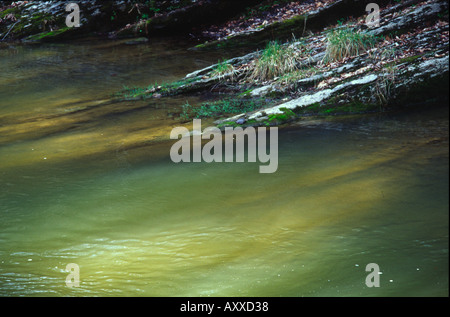 Il Cedar Creek Ponte naturale Virginia USA country park Foto Stock