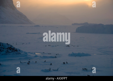 Il sole sorge lungo il fiordo di ghiaccio in Uummannaq, nord ovest della Groenlandia Foto Stock