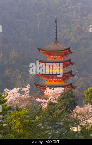 La fioritura dei ciliegi (Sakura), Itsukushima (Itsuku-shima) santuario, Miyajima, area di Hiroshima, isola di Honshu, Giappone Foto Stock