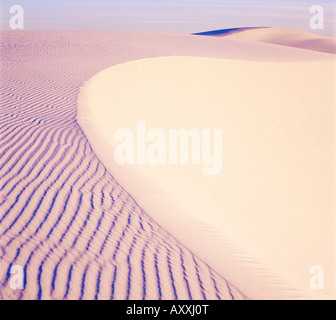 Dune, White Sands National Park, New Mexico, Stati Uniti d'America (USA), America del Nord Foto Stock