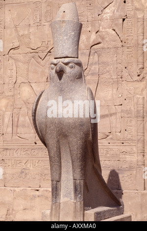 Edfu, Tempel, Horus Foto Stock