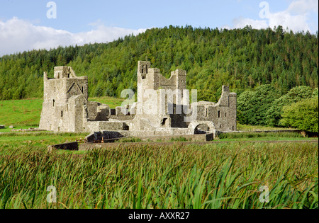 Fore Abbey, contea Westmeath, Irlanda. Monastero benedettino. Fondazione religiosa di San Feichin risale a circa 630 D.C.. Foto Stock