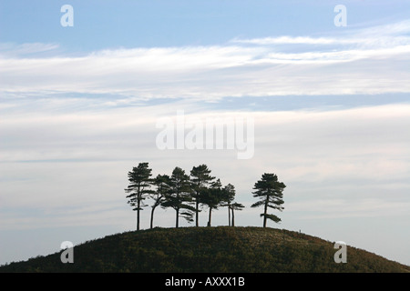 Vista verso la collina Colmers Bridport Dorset dalla cava Hill Foto Stock