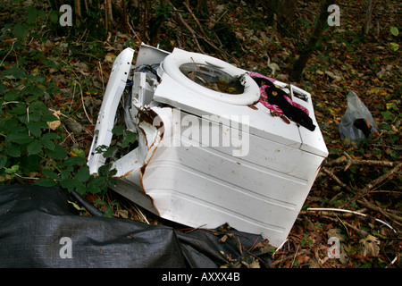 Macchina di lavaggio oggetto di dumping nei boschi Foto Stock