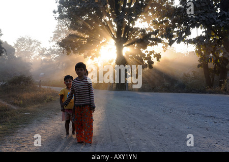 I bambini in silhouette del basso corso sun vicino a Kalaw Myanmar Asia Foto Stock