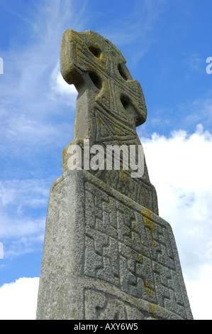 Carew Cross nelle vicinanze Carew Castle Pembrokeshire Wales Foto Stock