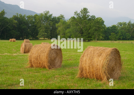 Le balle di fieno in Cades Cove Parco Nazionale di Great Smoky Mountains Foto Stock