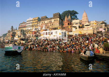 Pellegrini indù la balneazione nelle prime ore del mattino nel sacro Gange, Varanasi, nello stato di Uttar Pradesh, India Foto Stock