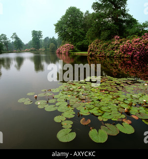 Regno Unito Cheshire Altrincham Dunham Massey Hall Giardino del Lago e rhododenrons Foto Stock