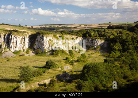 Chalk affioramento sulla Fairydale vicino Fridaythorpe nel Yorkshire Wolds Inghilterra Foto Stock