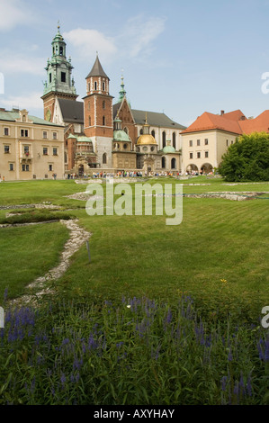 Cattedrale di Wawel, Royal Castle area, Cracovia (Cracovia), il Sito Patrimonio Mondiale dell'UNESCO, Polonia, Europa Foto Stock