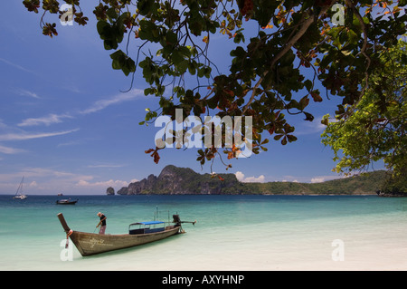 Yong Kasem beach, conosciuta come la Spiaggia delle Scimmie, Phi Phi Don Island, Thailandia, Sud-est asiatico, in Asia Foto Stock