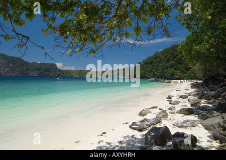 Yong Kasem beach, conosciuta come la Spiaggia delle Scimmie, Phi Phi Don Island, Thailandia, Sud-est asiatico, in Asia Foto Stock