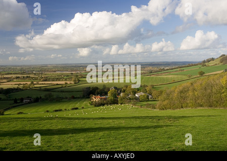 Tipica fattoria di pecora a piedi della scarpata Cotswold vicino a Stratford REGNO UNITO Foto Stock