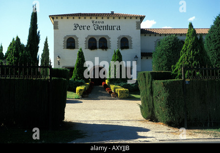 Alt martellata s la bodega di cava Pere Ventura Foto Stock