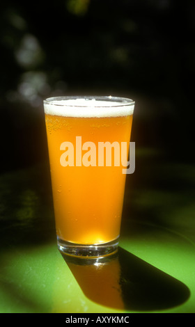 Micro Brew bicchiere di birra più grandi Foto Stock