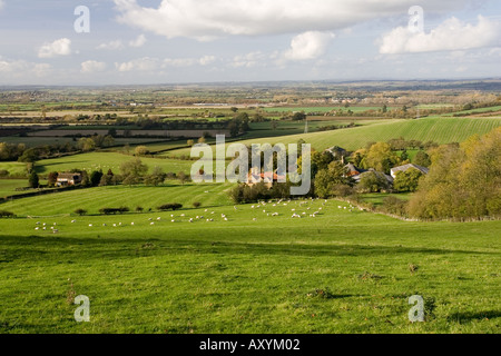 Tipica fattoria di pecora a piedi della scarpata Cotswold vicino a Stratford-upon-Avon Regno Unito Foto Stock