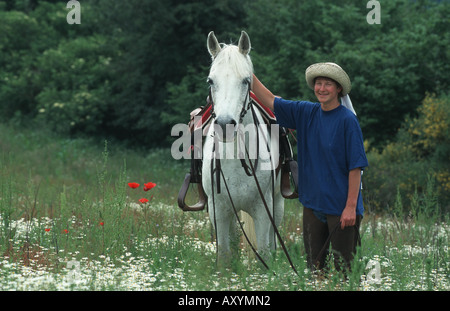 Pony Connemara (Equus przewalskii f. caballus) Foto Stock