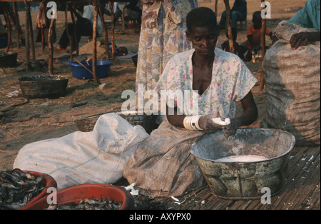 La manioca, manioca Tapioc, Tapioca (Manihot esculenta) vecchia donna vendita di tapioca-radici, Zambia Zambia occidentale, Mongu Foto Stock