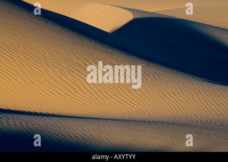 Immacolate dune di sabbia nella luce del mattino e ombra al Imperial dune di sabbia del deserto BLM Recreation Area & Deserto California Foto Stock