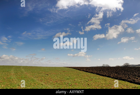 La metà campo arato Foto Stock