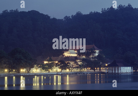 Kandy, Zahntampel mit heiligem Bodhi Baum, Dämmerungsaufnahme Foto Stock