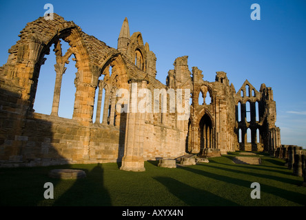 Il gaunt, imponenti resti di Whitby Abbey fondata nel 657 da San Hilda. Foto Stock