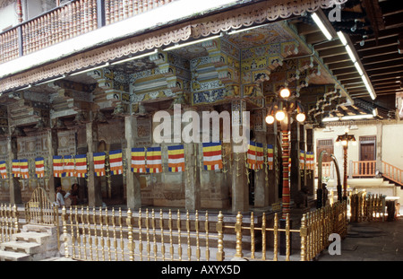 Kandy, Zahntampel mit heiligem Bodhi Baum, Stützkonstruktion Foto Stock