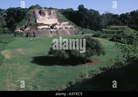 Altun Ha, Maya Ruinen, Platz B Foto Stock