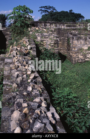 Altun Ha, Maya Ruinen, Platz B Foto Stock