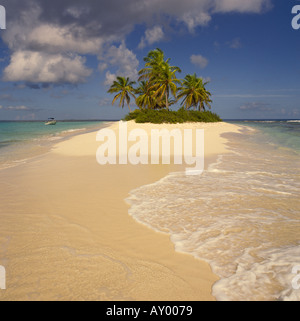 La lappatura onde di oltre le sabbie del idilliaco sogno tipico stile isola tropicale con palme isola sabbiosa off Anguilla nei Caraibi Foto Stock