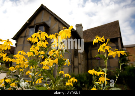 Shakespeare Birthplace in Henley Street Stratford upon Avon Warwickshire Foto Stock