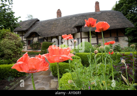 Anne Hathaway s cottage in Shottery Stratford upon Avon Warwickshire Foto Stock
