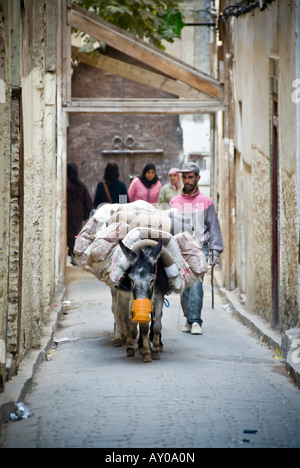 19 11 07 Fez Marocco all'interno della Medina Foto Simon Grosset Foto Stock