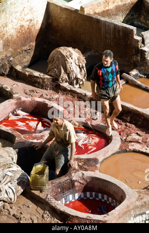 19 11 07 Fez Marocco all'interno della Medina la Conceria Chouara Photo Simon Grosset Foto Stock