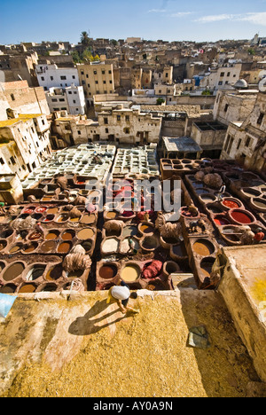 19 11 07 Fez Marocco all'interno della Medina la Conceria Chouara Photo Simon Grosset Foto Stock