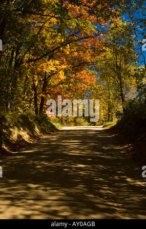 Caduta la tettoia di colore vicino Lansing Michigan su un unimproved strada di ghiaia Foto Stock