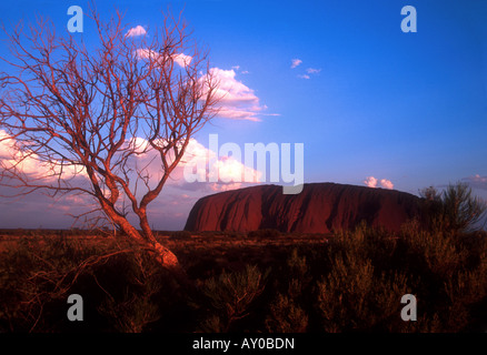Uluru o Ayers Rock Outback australiano Foto Stock