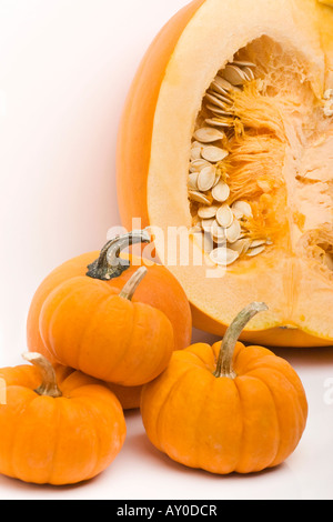 Sezioni trasversali di una zucca arancione con semi sopra la testa immagini ad altissima risoluzione immagini in formato verticale negli Stati Uniti ad alta risoluzione Foto Stock