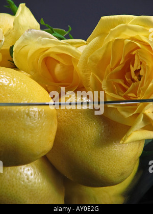 Frutta e fiori limoni gialli con rose gialle in una ciotola di vetro sfondo nero primo piano immagini vista frontale nessuno verticale negli Stati Uniti ad alta risoluzione Foto Stock