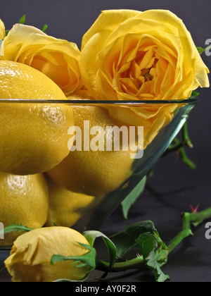 Frutta e fiori limoni gialli con rose gialle in una ciotola di vetro sfondo nero primo piano immagini vista frontale nessuno verticale negli Stati Uniti ad alta risoluzione Foto Stock