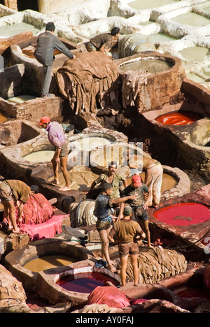 19 11 07 Fez Marocco all'interno della Medina la Conceria Chouara Photo Simon Grosset Foto Stock